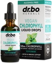 Chlorophyll 액체 하락 몸 Detox - 채식주의자 액체 Chlorophyll 하락 냄새 정화 보충교재, 에너지 & 면역 지원, 내부 탈취제, 몸 탈취 보충교재 - 자연적인 탈취제 물 2개 oz