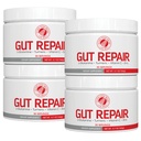 Silver Fern Gut Repair - 소화 건강 보충교재 분말 L 글루타민, 쿠르쿠민, 아연, 아스코르브산 혼합