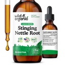 Wild & Organic Stinging Nettle Root Drop - 남성 및 여성을위한 스팅 Nettle Extract Tincture - 액체 Urtica Dioica Supplement - Vegan, Sugar & Alcohol-Free - 2 fl oz
