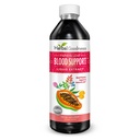 Papaya 잎 혈액 지원 액체 - 15X 힘 - Papaya 잎 추출물 - 건강한 플루트, 혈액 정화, 소화, Papaya 효소 -12oz 액체 - 초본 Goodness (1 bttl)