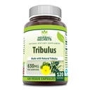 허브 시크릿 트리불루스 630 Mg 120 Veggie 캡슐 보충 | Non-GMO | 글루텐 프리 | 미국에서 제작