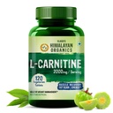 Himalayan Organics L-Carnitine L-Tartrate with Green Tea Extract 2000 Mg | 건강한 무게 관리 | 근육 회복, 부스트 에너지, 내구시간 및 지방 연소 -120 채식 정제 지원