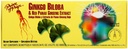 평화 은행나무 Biloba&Red Pan Gns 30X10 Cc의 왕자
