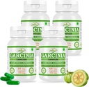 자연적이고 순수한 초본 Garcinia CAMBOGIA (Garcinia) 추출물 캡슐 | 가장 높은 효능, 100 % 초본 제품 | 60 X 500 mg의 팩. Veg. 캡슐 (4 항아리 포장)