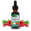 자연의 답변 Hawthorn Berries | 건강한 순환 기능 촉진 | 건강한 콜레스테롤 레벨 유지 | Gluten-Free, Alcohol-Free, Kosher Certified & No Preservatives 1oz