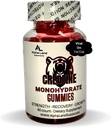 Creatine Monohydrate Gummies- 5g- 30 서빙 - 근육 성장, 근육 회복, 운동 회복, 두뇌 건강을위한 Vegan Creatine Gummy 곰 - 로딩 단계 없음 - 출혈 없음