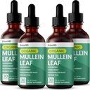 Lungs와 Bronchial - Lungs를 위한 Mullen 잎 추출물을 가진 호흡성 폐 건강 지원 - Elderberry, Echinacea 및 Ginger 뿌리 (120의 서빙) (4 팩)를 가진 Mullein Tincture