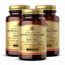 Solgar Methylcobalamin (비타민 B12) 5000 mcg, 60 Nuggets (포장 3) - 체리 맛 - 에너지 대사 지원 - 바디 - 읽기, 활성 형태 - 비 GMO, 비건, 글루텐 무료 - 180 총 서빙