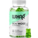 Sea Moss Gummies - Burdock Gummy과 Natural Irish Sea Moss 및 Bladderwrack - 60 Gummies - Vegan - 건강한 면역, Gut 및 전반적인 웰빙 지원 - 초본 알칼리 보충제