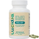 NAC, Bromelain, Reishi & Sting Nettle와 Lucidia Quercetin - Immune 지원 및 계절 웰니스 - Practitioner 공식화, 비 돌기 보충교재, 60 캡슐