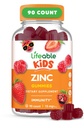 아이를 위한 Lifeable 아연 Gummies |15mg | 훌륭한 타스팅 키즈 아연 보조제 | GMO 무료 채식 아연 비타민 | 아이와 어린이를 위한 건강한 피부와 면역 지원 | 90 Gummies