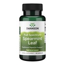 Swanson Spearmint 잎 (Mentha Spicata) - 전체 스펙트럼 초본 보충 소화 건강 및 밀드 Stomach 문제 - 천연 공식 지원 건강 및 웰빙 - (60 캡슐, 400mg 각각)