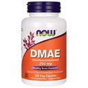 DMAE 250mg 100 정맥류