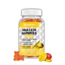 Mullein Gummies, Quercetin, Bromelain & 비타민 D3, 호흡기, 자연적인 Lung Cleanse를 위한 Mullein 잎 추출물을 가진 2000mg 유기 Mullein 잎 추출물은, 식초, 비 GMO, 1 팩을 개량합니다