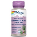 SOLARAY Arabinogalactan, Larch Tree Extract 300mg | 건강한 Gut & Immune 시스템 지원을위한 Prebiotic Fiber | 60 VegCaps