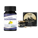 ORGANIC SPREE Gokshura & Himalayan Shilajit - USDA 유기 Tribulus Terrestris 120 정제 및 20g 수지 85 + Trace 미네랄 - 에너지 지원 및 면역 건강 *