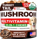 개를위한 버섯 - 170 Chews - 터키 꼬리 - 개를위한 버섯 보충 - 사자 Mane - Reishi - 면역 지원 Multivitamin 비타민 - 관절 건강 - 에너지 - Gut - 피부 - 미국에서 만든