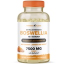 식물에 의해 구동되는 Boswellia Serrata 추출물 합동 지원 보충교재 – BioPerine를 가진 65% 높은 Potency Boswellic 산 – Immunity, Mobility & Flexibility – 120 Vegan 캡슐을 지원합니다