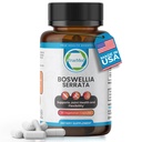 Boswellia Serrata 600mg 65 Boswellic 산성 추출물은 합동 안락, 융통성 & Mobility 자연적인 초본 웰니스 보충교재, 비 GMO, 글루텐 자유로운 90 Veg 캡슐을 지원합니다.