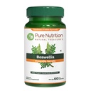 순수한 영양 Boswellia Serrata 600 mg | 60 캡슐 | 15:1 추출 표준화 65% Boswellic 산 | 비 GMO 초본 보충