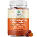 성인을 위한 유력한 매일 Multivitamin Gummies - 비타민 D A C E B12 아연과 Biotin - 에너지와 면제를 위한 성숙한 비타민 Gummy - 비 GMO 글루텐 자유로운과 Halal Gummies 30 조사
