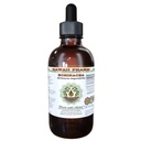 Echinacea 알콜 자유로운 액체 추출물, Echinacea (Echinacea Angustifolia)에 의하여 말린 뿌리 글리세라이드 하와이 Pharm 자연적인 초본 보충교재 2개 oz