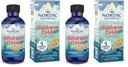 Nordic Naturals Children's DHA Xtra, Berry Punch - 2 oz for Kids - 880 mg Total Omega-3s with EPA & DHA - Cognitive & Immune Function, Learning, Social Development - Non-GMO - 48 서빙 (포장 2)