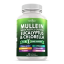Lungs를 위한 Mullein 잎 추출물은 NAC 보충교재 Chlorophyll Chlorella Elderberry Ginger Licorice Astragalus Oregano 심황 지원 90 조사를 청소합니다