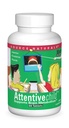 Source Naturals Attentive Child - 활성 어린이를위한 건강한 인지 영양소 - DMAE, 마그네슘, 아연 및 포도 씨앗 추출물과 향상된 초점 및 관심 - 60 정제