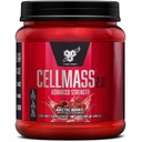 BSN CELLMASS 2.0 포스트 운동 회복 BCAA, 크레아틴, & 글루타민 - Keto 친절한 - Arctic Berry, (25 봉사) (1048058)