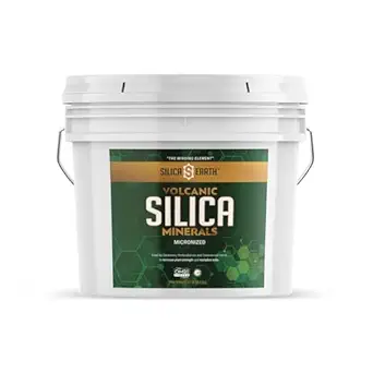 화산 실리카 무기물 Micronized- 10 파운드