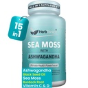 Herbtonics Sea Moss, Black Seed Oil, Ashwagandha, Burdock Root & ACV Complex | Boost Immunity, Reduce Stress, Support Digestion | 올인원 SeaMos 캡슐 | 60 캡슐