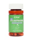 CAW 나노 Cycloastragenol 98 % 5Mg | Telomere 길이 노화 방지 | DNA Repair Cell Health | 30 Enteric-Coated 채식 캡슐 1 병