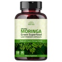 유기 Moringa 캡슐 120 캡슐 1000mg – 대사, & 면역 지원 영양소 Rich superfood | 비 GMO 및 글루텐 무료