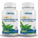 Palmara 건강 프리미엄 Andrographis Paniculata 추출 2 팩 - 1,200mg (100mg Andrographolides) 서빙 당, Non-GMO, Vegan, 글루텐 무료