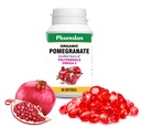 PHARMAKON 유기 석류 추출물, 높게 Bioavailable Softgels의 가득 차있는 스펙트럼은 Polyphenols + Omega 5를 포함합니다