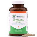 Artemisia Trinity | Wormwood Herb & Artemisinininin 30 : 1 추출물이있는 성인을위한 청소 | 저항 및 소화 지원 | 초본 보충제 | 순수, 식물 기반, 90 캡