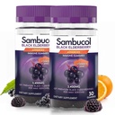 Sambucol 비타민 C & 아연을 가진 까만 Elderberry Gummies - Immune 지원을 위한 Sambucus Elderberry Gummies, 높은 산화 방지제, 글루텐 자유로운, Vegan, 아연 & 비타민 C를 가진 Elderberry - 30 조사, 2 팩