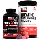 힘 요인 성과 뭉치: 시험 X180 최대 T-Booster (60 혼합 Berry Gummies) & Creatine Monohydrate 5g (150 수박 Gummies)