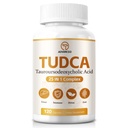 tudca 캡슐
