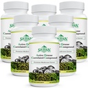 활동적인 Hexose Correlated 화합물 1500 mg 보충교재, 자연적인 8 버섯 추출물 보충교재, 면역 체계, 간기능, 자연적인 살인자 및 T 세포 활동, 540 Veggie 캡슐