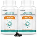 Orgabay Liposomal NAD + 보충 500 mg, 높은 흡수, TMG 250 mg, Nicotinamide Riboside, 지원 세포 에너지, 건강한 노후화 인후화 인후화 인후화 인후화 인후화 인후화 인후화 인후화 인후화 인후화 인후화 인후화 인후화 인후화 인후화 인후화 인후화 인민 공화국