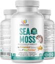 Organic Irish Sea Moss Pills - Wildcrafted Dr Sebi Inspired Seamoss Blend with Turmeric, Burdock Root & Bladderwrack, Black Pepper로 향상된 - 60 캡슐