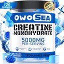 근육 지원 에너지 부스트를 위한 서빙 당 남자 & 여자 5000mg Creatine Monohydrate를 위한 Creatine Monohydrate Gummies 120 조사 Chewable 5g Creatine 보충교재 설탕 자유로운 Vegan (1 팩, 파란 나무 딸기)
