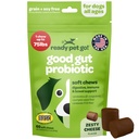 개 Gut 건강을위한 Probiotic Chews | 호박 개 프로바이오틱스와 소화 효소 효소가있는 Dogs Digestive 건강을위한 맛있는 사전 및 프로바이오틱스 | NASC 인증 및 미국에서 제작 | 60 Chews