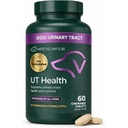 VetriScience 빠른 행동 UT 건강 Chewable 정제, 개, 크랜베리, Uva Ursi 및 Chanca Piedra를 위한 UT 힘 STAT 보충교재, Soothe Urinary Tract Discomfort, 연기, 90 조사