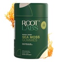 Sea Moss Gummies I 92+ Mineral I Black Seed Oil I KSM 66 Ashwagandha I Lab Tested I No add Sugar | 남성용, 여성용 I Non-GMO I 100% 천연 유기농 I 1600mg I 60 Gummy