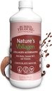 Buried Treasure Nature's Vollagen – 2000mg Vollagen Complex, 피부, 머리, 관절 건강, 100 % 식물 기반, 글루텐 무료, 소이 프리, Dairy-Free, 초콜릿 모차 맛, 16oz 액체