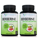 Ceylon Cinnamon와 Berberine - 1200mg Berberine & 100mg 유기 Ceylon Cinnamon - 120 Veggie 캡슐, 건강한 면역 체계 심장 혈관 심장 & 위장 웰니스 (포장 2)