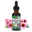 자연의 답변 Echinacea 알코올 무료 추출물 1 유체 오닉스 | 전반적인 웰빙을 촉진 | 천연 면역 부스터 | Inflammatory Reducer